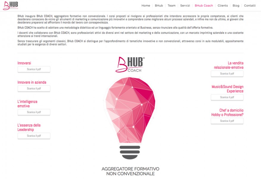 Bhub Business Hub coach