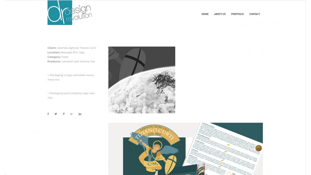 dr-designrevolution.com portfolio